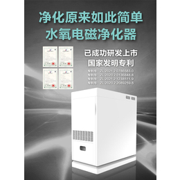 左杉新型水氧电磁空气净化器家用除甲醛雾霾pm2.5
