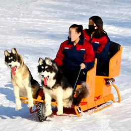 网红狗拉雪橇车  可定制宠物模型缩略图