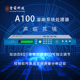 广东A100前级效果器音响系统处理器雷萌科技
