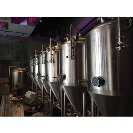 生产线大型精酿啤酒设备定做机器啤酒厂啤酒