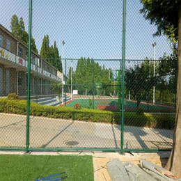 球场围网 学校体育场使用 浸塑勾花网老化 耐高温