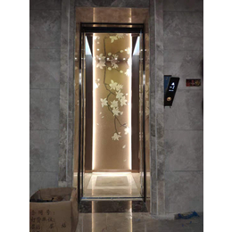 无底坑电梯哪家好-奥裕浦机电(在线咨询)-上海无底坑电梯