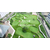 重庆阳台景观高尔夫果岭 楼顶高尔夫迷你果岭现场施工缩略图1