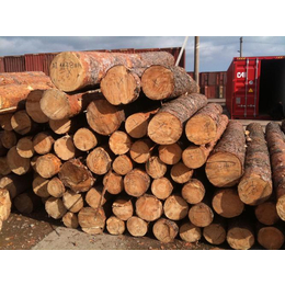 木材进口清关请记住以下几个环节贴心的进口木材清关服务