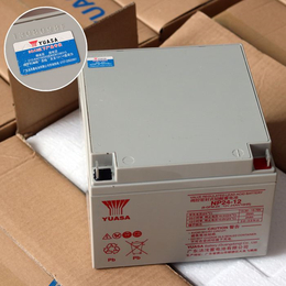 YUASA汤浅蓄电池NP38-12 铅酸免维护UPS