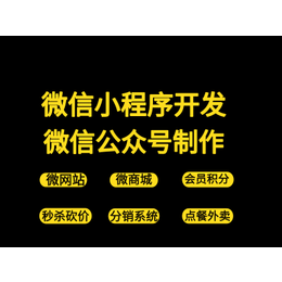 武汉电商小程序开发