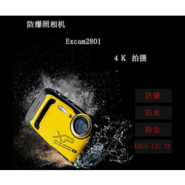 防爆数码照相机-北京朗仕特-防爆数码照相机价格
