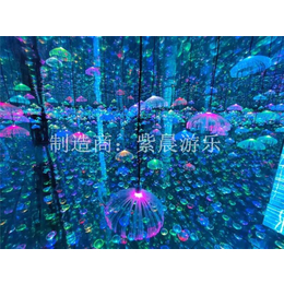新款网红项目镜子迷宫-大庆镜子迷宫-紫晨游乐(查看)