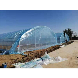忻州温室大棚制造安装-农创塑料大棚-忻州温室大棚