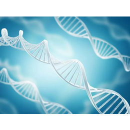 天津正规DNA留学亲子中心一览附2024年5月鉴定汇总