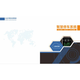 停车场系统管理-大禾信息技术(在线咨询)-淄博停车场管理系统