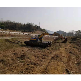 和平挖掘机租赁(图)-湿地挖机出租公司-北京挖机出租公司