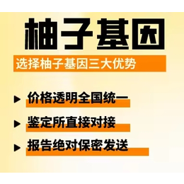 昆明孕期亲子鉴定地址一览（附2024收费标准）