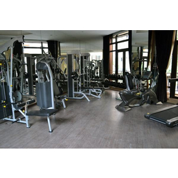 鄂尔多斯室内运动器材-室内运动器材代理-大有健身器材