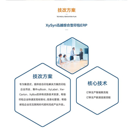 上海印刷包装MES-上海迅越软件 -印刷包装MES开发