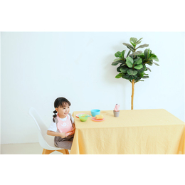 创意儿童餐盘-浙江北星科技款式*-创意儿童餐盘价格