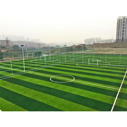 足球场人造草坪铺设-世纪宏达(在线咨询)-廊坊足球场人造草坪