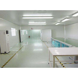 GMP洁净室装修  无菌净化隔离室安装  超净无菌室净化工程