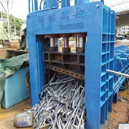 源通机械-广西500吨液压龙门剪切机可定制废钢剪切机技术参数