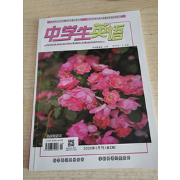 中学生英语期刊是核心期刊吗