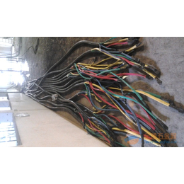 苏州电气设备用电缆线回收 吴江高压电缆线回收缩略图