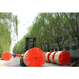 河北新宝丰电线电缆有限公司-电力电缆型号-六盘水电力电缆