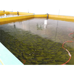 水产养鱼设备供应-智慧农研(在线咨询)-潜江水产养鱼设备