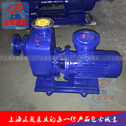 上海正奥CYZ-AL型直联式自吸油泵 铸铁自吸柴油泵