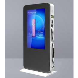 WEISHUO供应液晶显示设备55寸充电桩式广告播放机