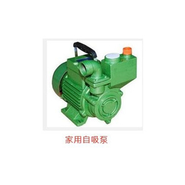 家用自吸泵品牌-惯达泵业(在线咨询)-广州自吸泵品牌