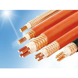 之艳电缆(图)-西安电线加盟-西安电线