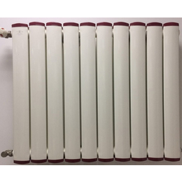 合肥震科 快速升温(图)-钢制暖气片-合肥暖气片