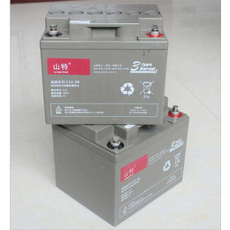 深圳山特蓄电池C12-38 SANTAK蓄电池