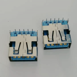 USB 3.0母座 9P 90度两鱼叉脚直边蓝色胶芯 