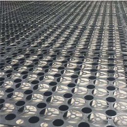 东诺工程材料-方片状蓄水板-方片状蓄水板生产厂家