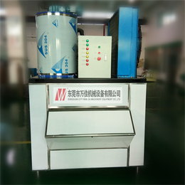  WJ-0.3T小型生鲜水产冷冻片冰机广东厂家批发