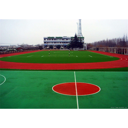 天津塑胶跑道建设-天津塑胶跑道-立新体育设施