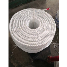 聚*塑料绳厂-聚*塑料绳-远翔绳网(查看)