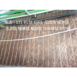 公路边坡绿化椰丝毯 植物纤维毯 *冲生物毯