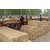 辐射松建筑木材-辐射松建筑木材规格-旺源木业(推荐商家)缩略图1