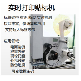 实时打印贴标机-（上海）朗飒智能科技-贴标机