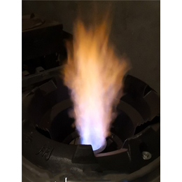 新型无醇燃料(图)-植物油燃料气泵炉具-天津植物油燃料