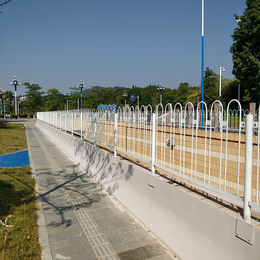 佛山道路护栏价格 批发增城扁钢栏杆 市政护栏京式围栏