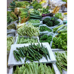水果蔬菜配送公司-康有农业蔬菜配送-石排水果蔬菜配送公司