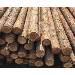 绿化杉木桩厂家-佳拓木业-江苏绿化杉木桩