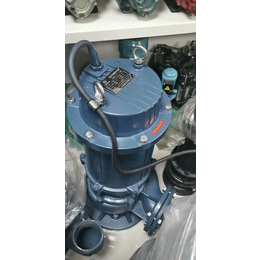 污水泵品牌-泉州污水泵-厦门镒鹏机电(查看)