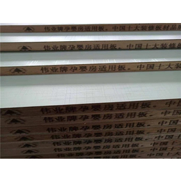 杨木生态板厂家定制-杨木生态板厂家-伟正木制品板材(查看)