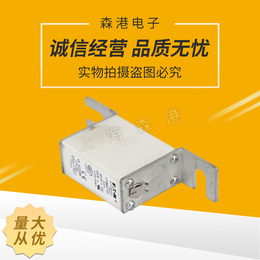 巴斯曼熔断器170M01651信息化*690v