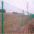双边丝护栏网 绿色果园护栏网 养鸡围栏网销售缩略图3