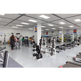 尖扎室内健身器材-大有健身器材公司-室内健身器材厂家